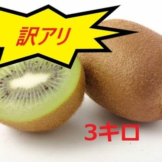 【今が旬】キウイの国 愛媛県産グリーンキウイ　Bサイズ3キロ(フルーツ)