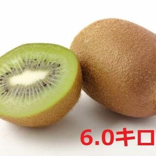 【今が旬】キウイの国 愛媛県産グリーンキウイ　Aサイズ6キロ(フルーツ)