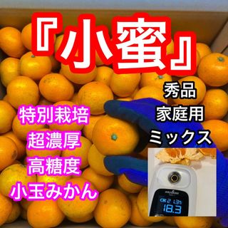 小蜜5キロ　秀品と家庭用ミックス　衝撃の高糖度　あまい　超濃厚みかん　愛媛県産(フルーツ)