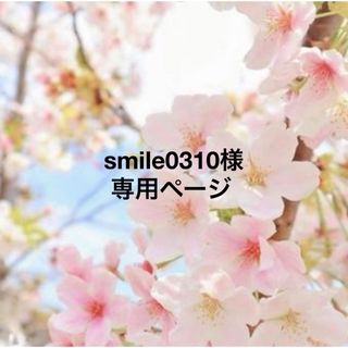 キスマイフットツー(Kis-My-Ft2)のsmile0310様専用ページ(その他)