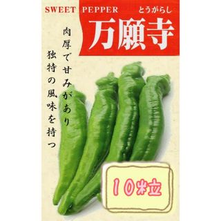 野菜の種 【唐辛子】万願寺とうがらし①(野菜)