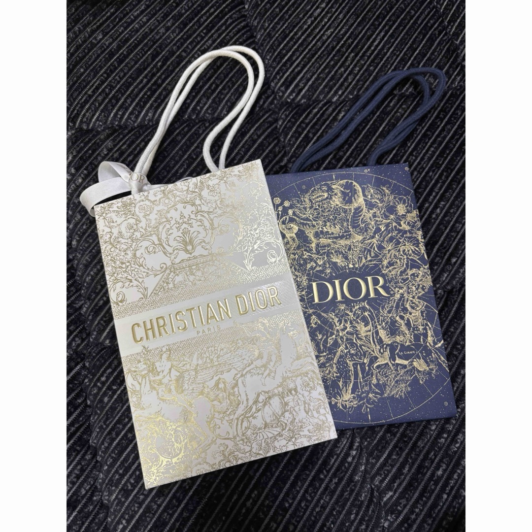 Christian Dior(クリスチャンディオール)の【お値引きしました】ディオール　ショッパー　2023 レディースのバッグ(ショップ袋)の商品写真