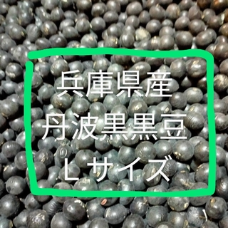 丹波黒黒豆Ｌサイズ　1キロ　兵庫県産(野菜)