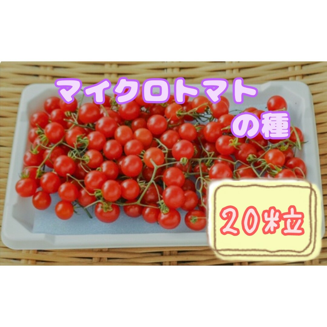 野菜の種 【ミニトマト】マイクロトマト（赤） 食品/飲料/酒の食品(野菜)の商品写真