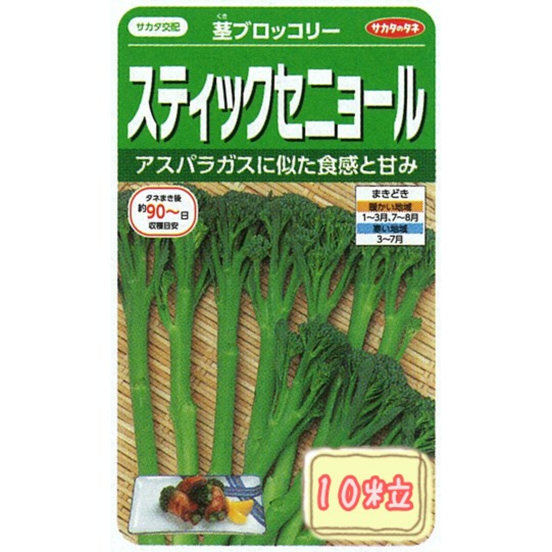 野菜の種 【茎ブロッコリー】スティックセニョール① 食品/飲料/酒の食品(野菜)の商品写真