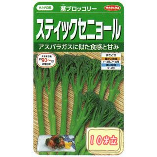 野菜の種 【茎ブロッコリー】スティックセニョール①(野菜)