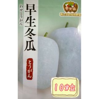 野菜の種 【とうがん】早生冬瓜①(野菜)