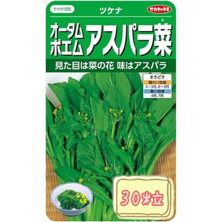 野菜の種 【ツケナ】オータムポエム①(野菜)