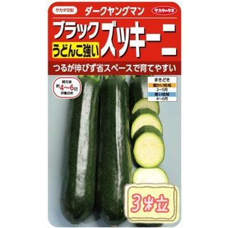 野菜の種 【ズッキーニ】ダークヤングマン①(野菜)