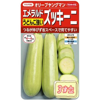 野菜の種 【ズッキーニ】オリーブヤングマン①(野菜)