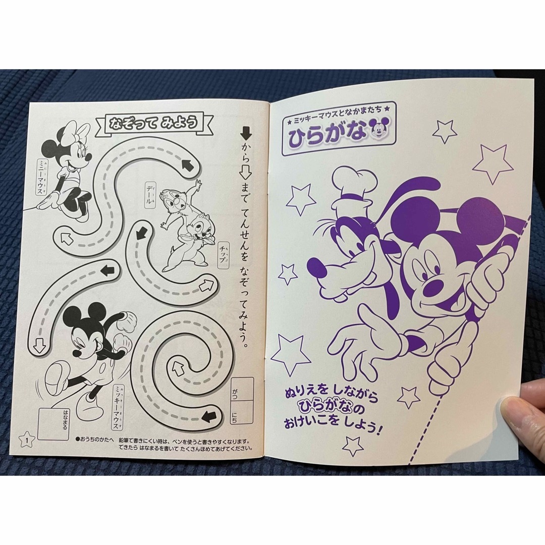 油絵 数字キットによる絵画 塗り絵 とりあつかい 大人 手塗り 油絵 数字キットによる絵画 塗り絵 とりあつかい 大人 手塗り