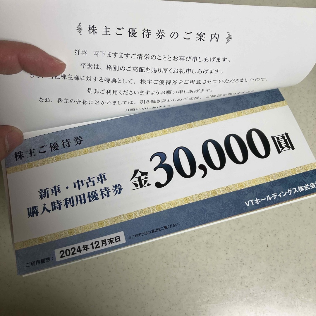 VTホールディングス 株主優待券1冊 チケットの優待券/割引券(その他)の商品写真