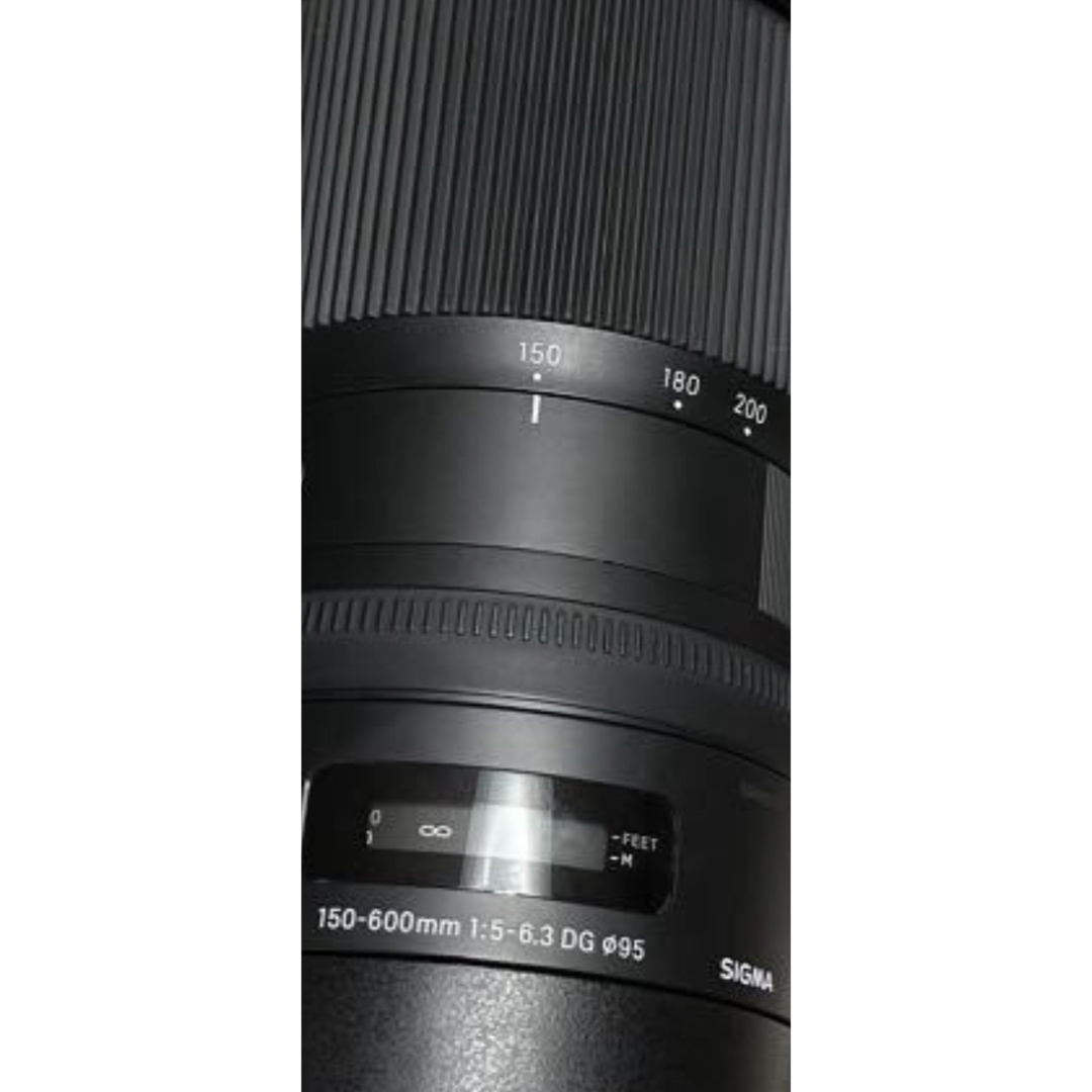 SIGMA 150-600mm F5-6.3 DG OS HSM  EFマウントカメラ