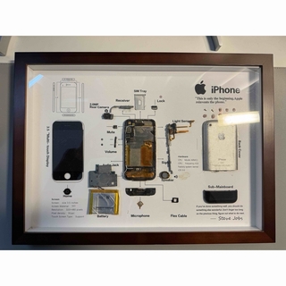 アイフォーン(iPhone)のレア　iPhone 2G 標本アート(その他)
