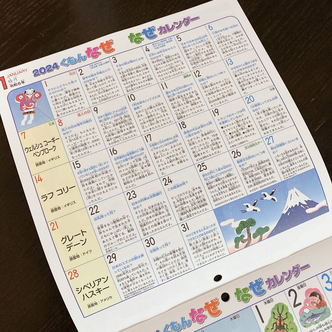 KUMON(クモン)のくもん　なぜなぜカレンダー　2024  インテリア/住まい/日用品の文房具(カレンダー/スケジュール)の商品写真