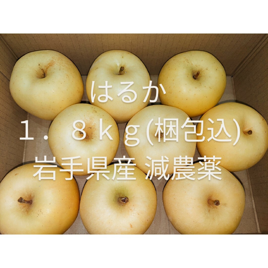 はるか １．８ｋｇ 岩手県産 減農薬りんご 食品/飲料/酒の食品(フルーツ)の商品写真