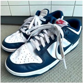 ナイキ(NIKE)のNIKE DUNK LOW Valerian Blue【早い者勝ち】(スニーカー)