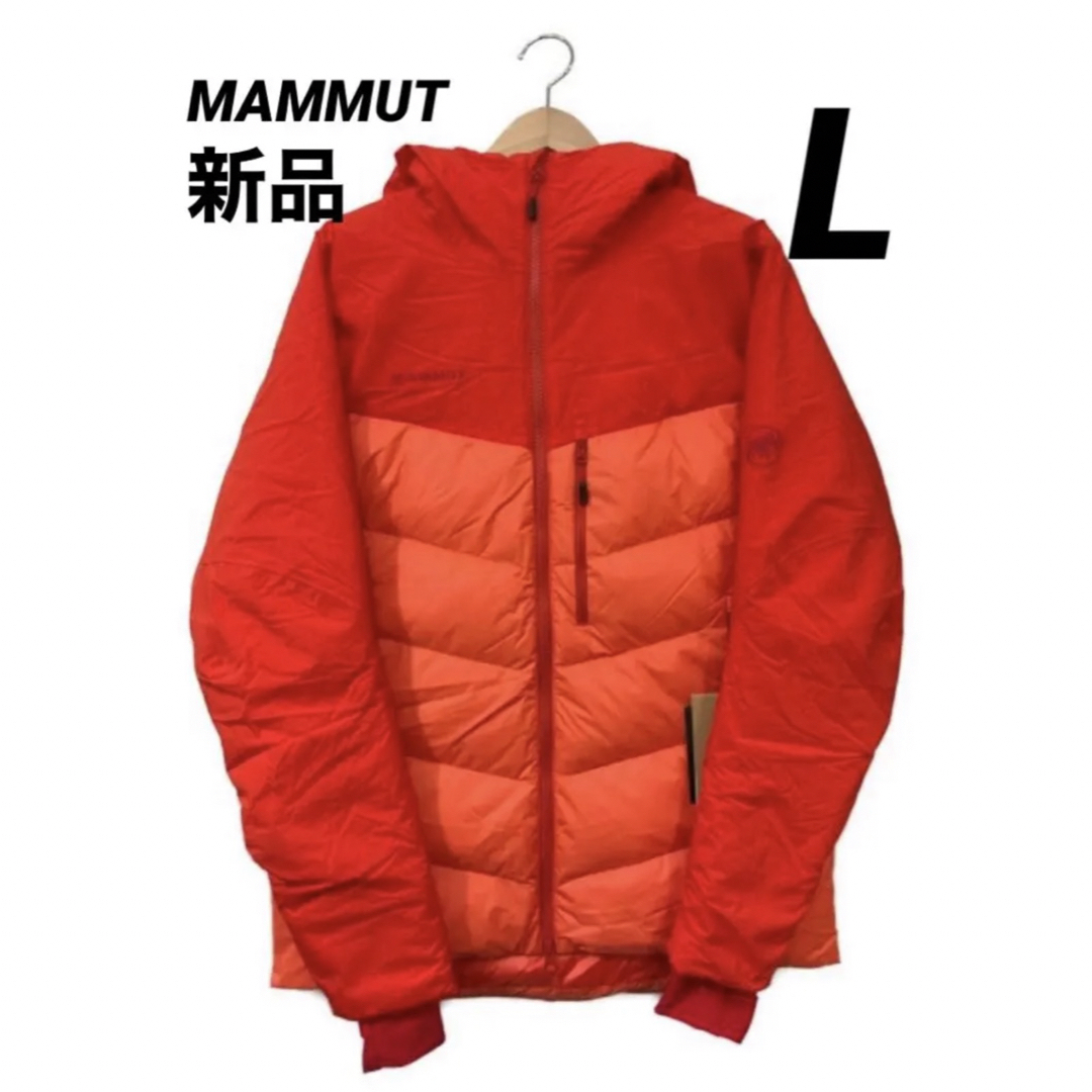 Mammut(マムート)の☆最安値　新品タグ付☆マムート　ダウンジャケット　Lサイズ　価格46200円 メンズのジャケット/アウター(ダウンジャケット)の商品写真