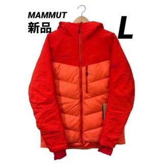 マムート(Mammut)の☆最安値　新品タグ付☆マムート　ダウンジャケット　Lサイズ　価格46200円(ダウンジャケット)