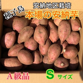種子島　農家直送！安納地区の安納芋　S ４キロ　A級品(野菜)