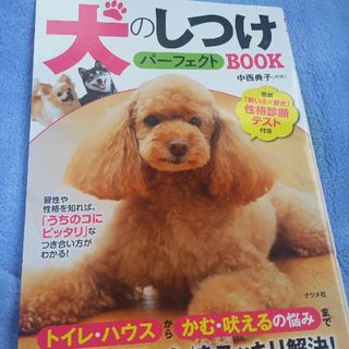 犬のしつけ(犬)