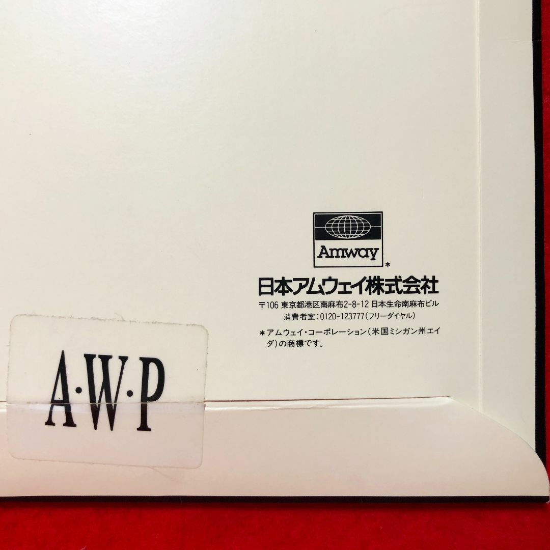 Amway(アムウェイ)のAmway☆アムウェイワールドプラザストッキングMネイビー：経年 レディースのレッグウェア(タイツ/ストッキング)の商品写真