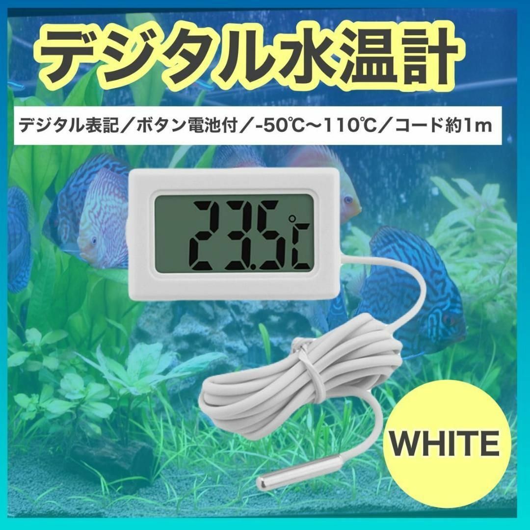 デジタル水温計 温度計 水温 温度管理　熱帯魚　メダカ　冷蔵庫　白　1個 その他のペット用品(アクアリウム)の商品写真