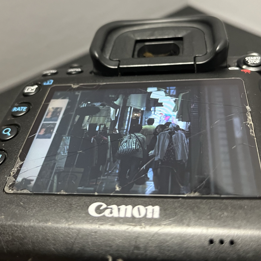 ⭐︎最後の値下げ中/Canon EOS 5D Mark IV / おまけ付き ⭐︎最後の値下げ中/Canon EOS 5D Mark IV / おまけ付き