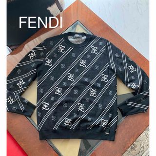 フェンディ(FENDI)のFENDI フェンディ 高級 羊毛 薄手 ニット セーター 46 M(ニット/セーター)