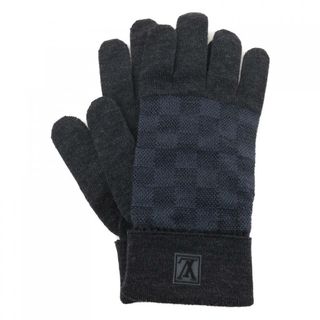 ルイヴィトン(LOUIS VUITTON)のルイヴィトン LOUIS VUITTON GLOVE(その他)