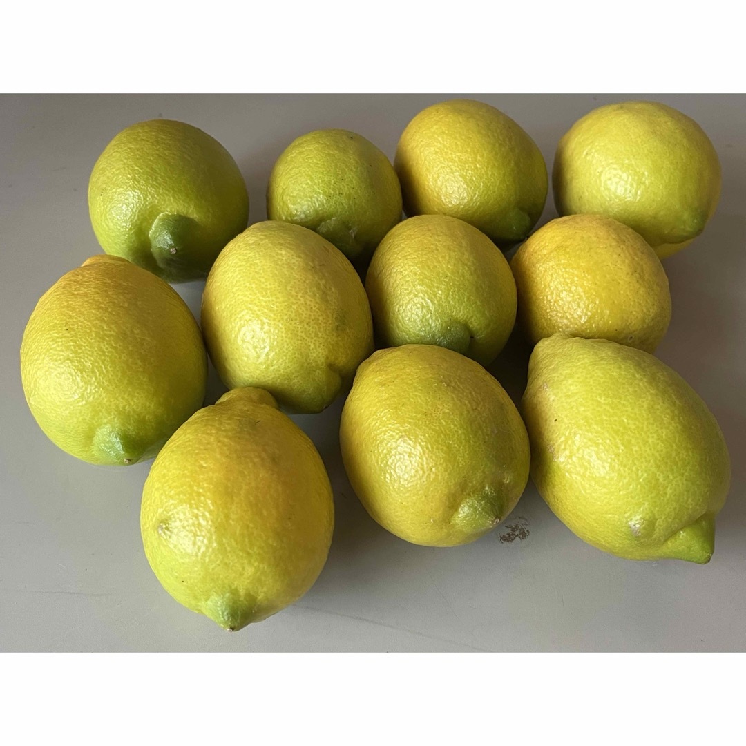 レモン　無農薬　1.1kg (箱込み) 食品/飲料/酒の食品(フルーツ)の商品写真