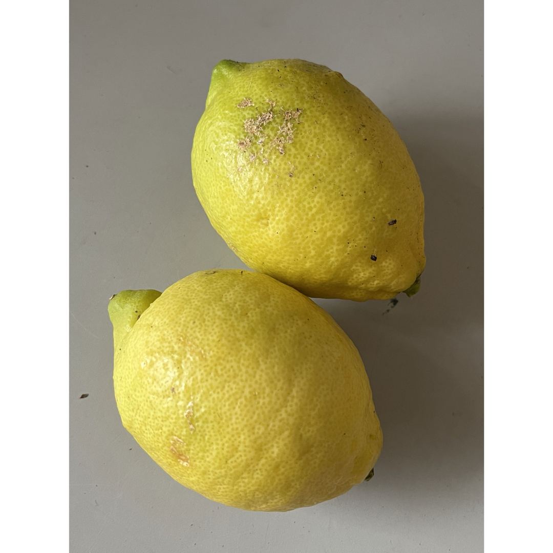 レモン　無農薬　1.1kg (箱込み) 食品/飲料/酒の食品(フルーツ)の商品写真