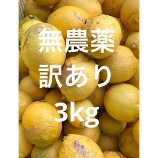 レモン　無農薬　訳あり　3kg(フルーツ)