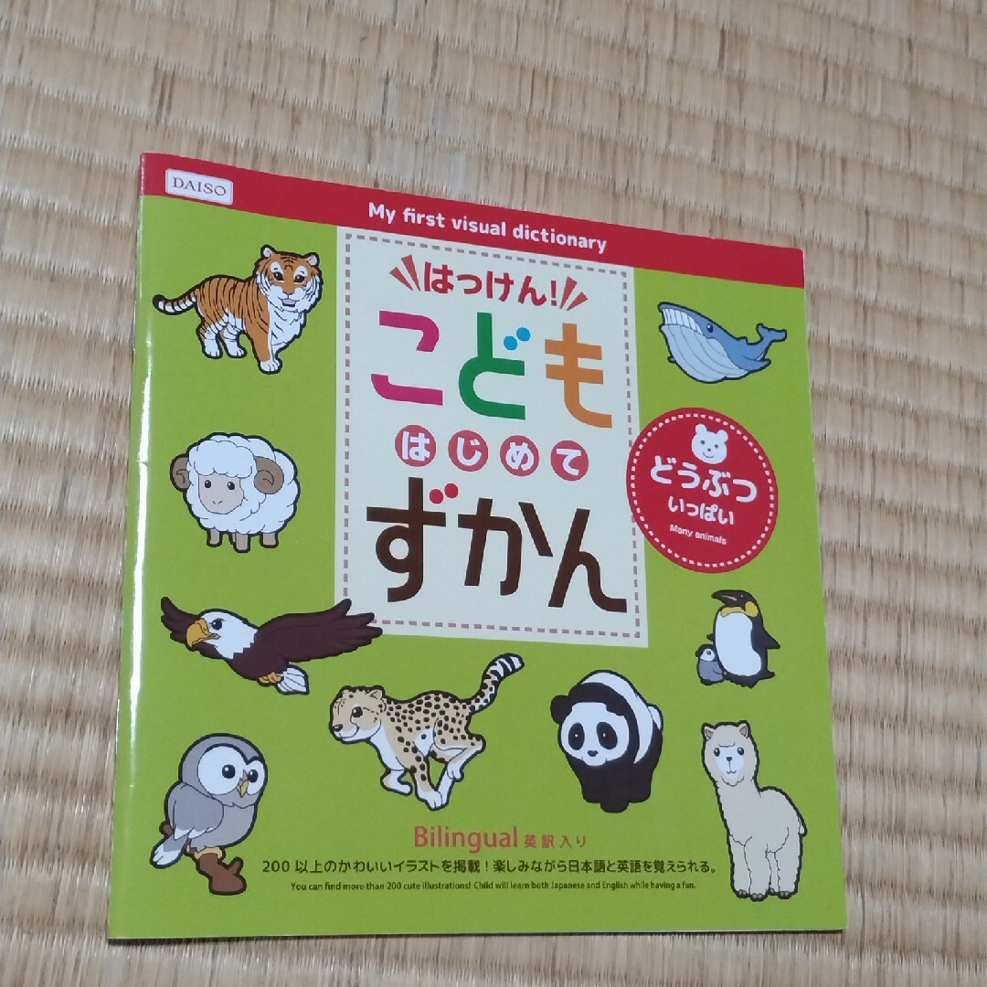 DAISO(ダイソー)のまちがいさがし5.6.7歳、ちえあそび、こどもずかん、あった？ エンタメ/ホビーの本(絵本/児童書)の商品写真