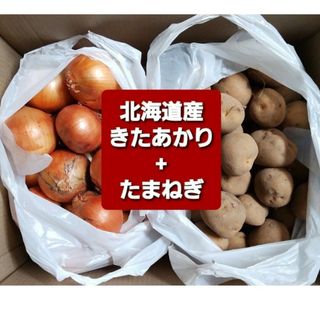 ◆北海道産ジャガイモ【キタアカリ】訳あり品＋玉ねぎ Ｍサイズ約１０キロ(野菜)