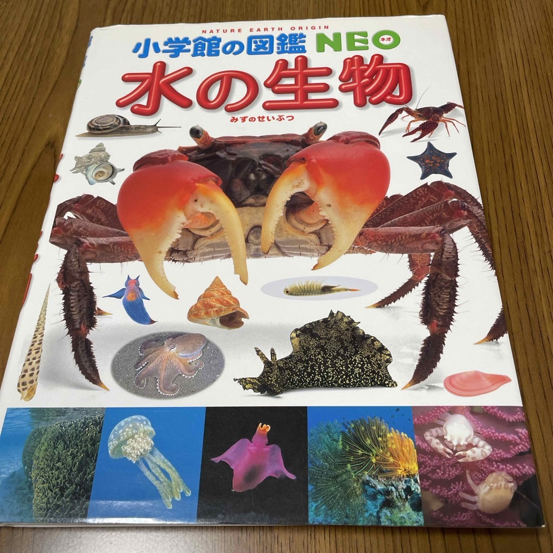 小学館(ショウガクカン)の図鑑NEO  水の生物 エンタメ/ホビーの本(絵本/児童書)の商品写真