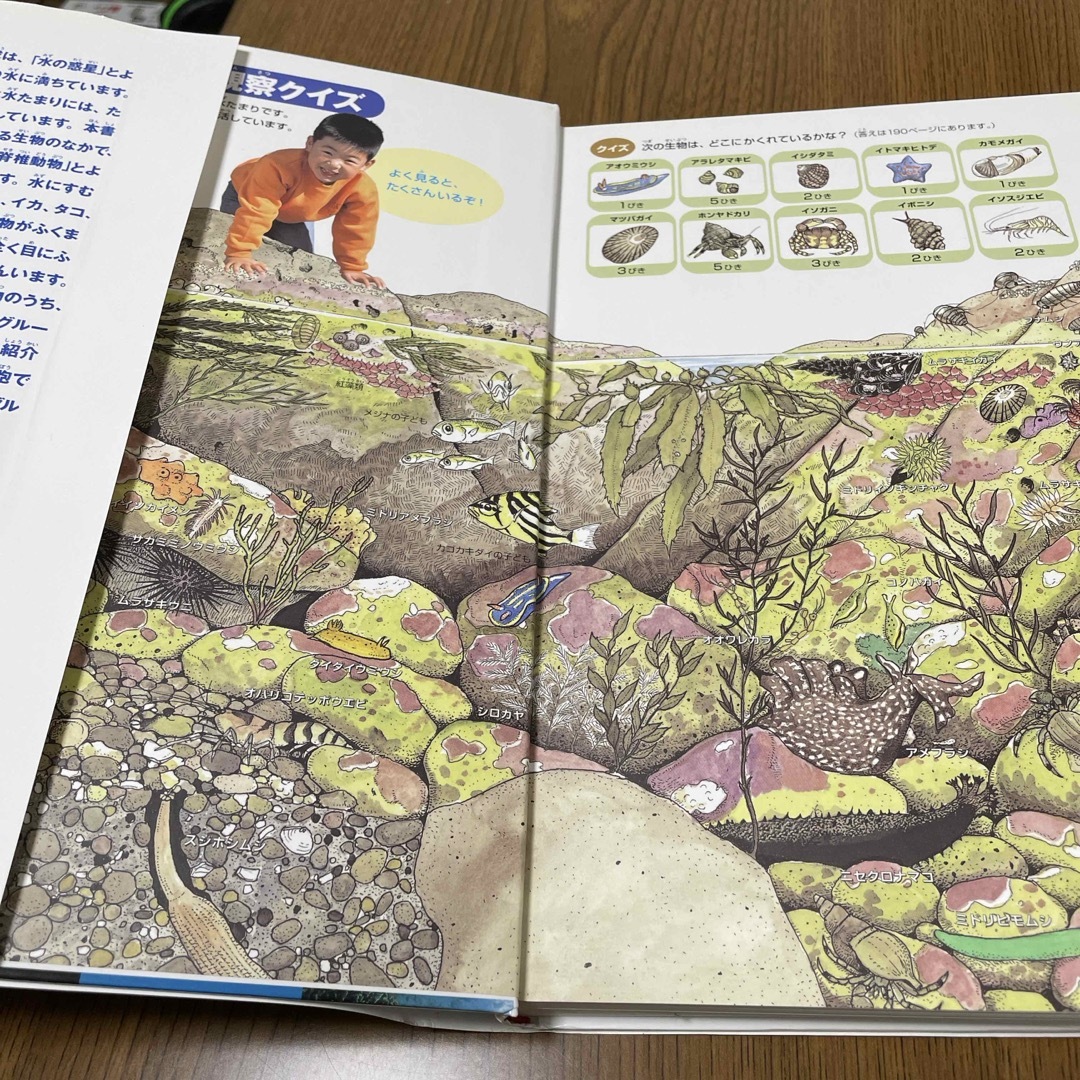 小学館(ショウガクカン)の図鑑NEO  水の生物 エンタメ/ホビーの本(絵本/児童書)の商品写真