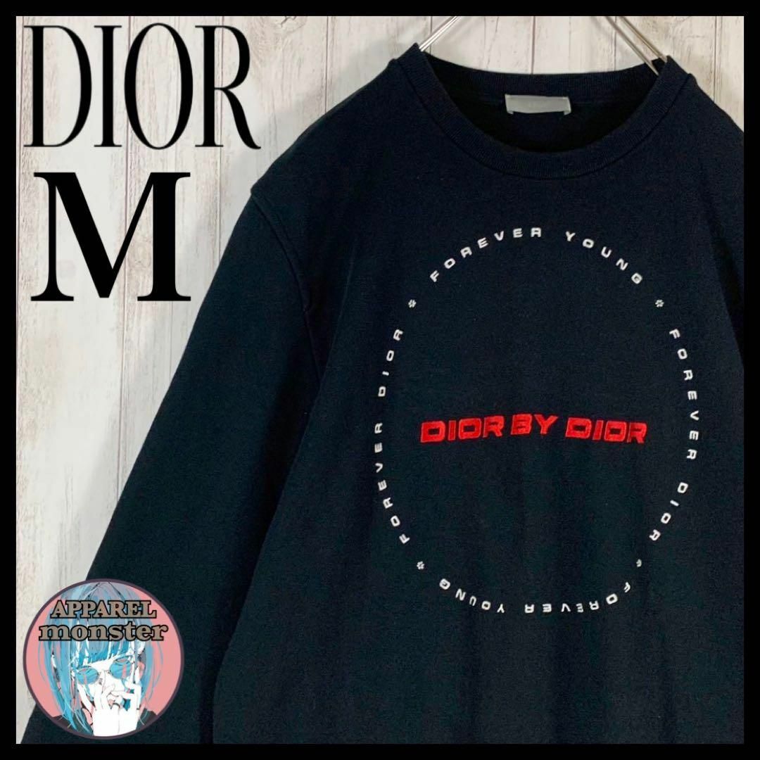 【最高級の逸品】Christian Dior ディオール 刺繍ロゴ スウェット目立った傷や汚れなし