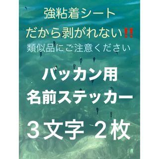 バッカン用 名前ステッカー 3文字様 2枚の価格ですシマノマルキュー がまかつ (その他)