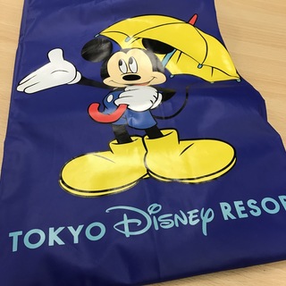 ディズニー(Disney)の専用ディズニー★メンズ M ポンチョ(レインコート)