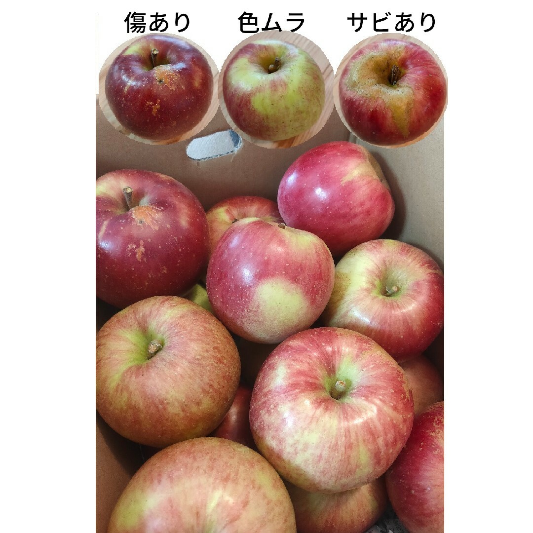 【山形県朝日町産】蜜入りりんご　サンふじ5キロ（小玉・訳あり品）22〜24玉 食品/飲料/酒の食品(フルーツ)の商品写真