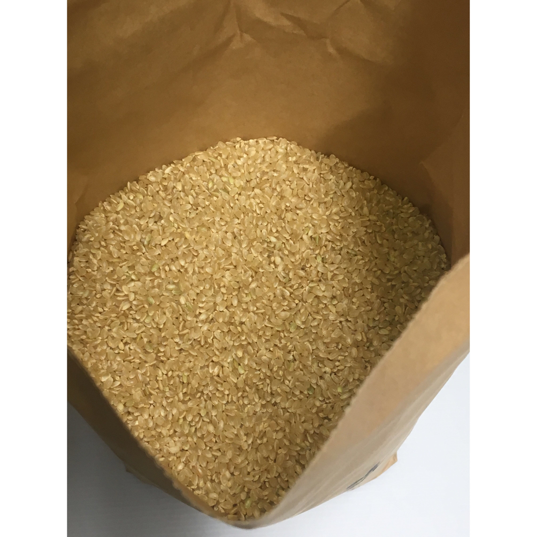 まるまる子様専用 新米 無農薬コシヒカリ5分づき15kg、玄米5kg、乾海苔50