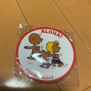 スヌーピー(SNOOPY)の【やぶさん様専用】日焼けSNOOPYポストイット　モニホノルル(キャラクターグッズ)