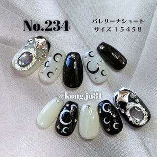 No.234☆オーダーネイルチップ(ネイルチップ)