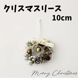 リース クリスマスリース インテリア クリスマス雑貨  造草リース 10センチ (リース)