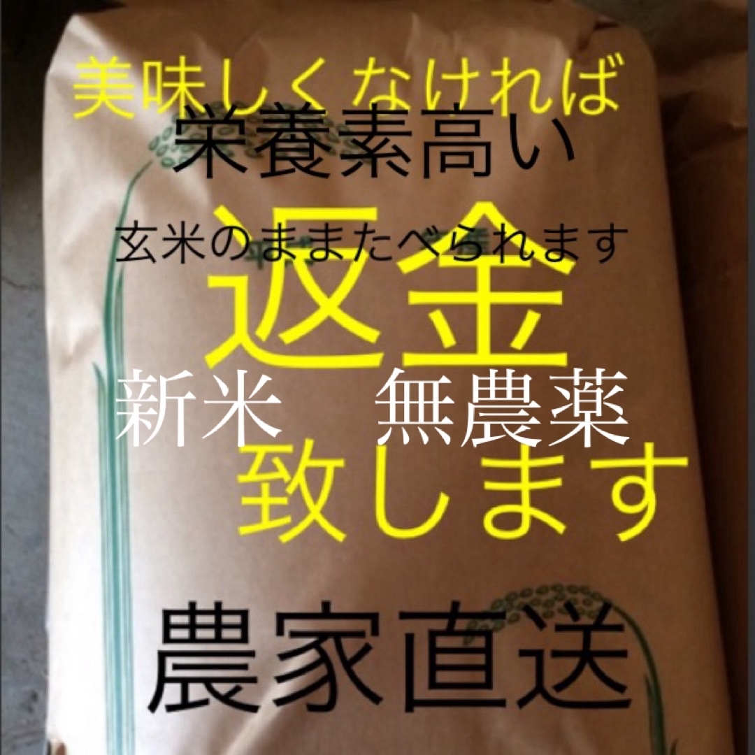 新米　無農薬　こしひかり　30㎏ 玄米 食品/飲料/酒の食品(米/穀物)の商品写真