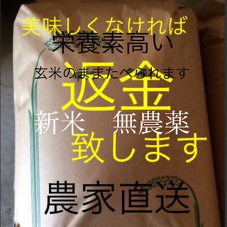 新米　無農薬　こしひかり　30㎏ 玄米(米/穀物)