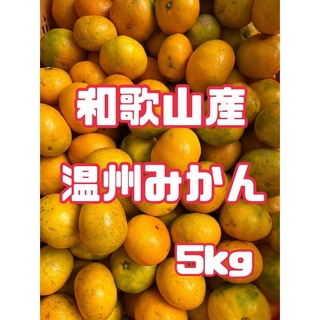 ⭐︎和歌山産⭐︎ 温州みかん 5kg 訳あり　みかん　柑橘類(フルーツ)
