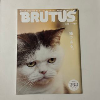 マガジンハウス(マガジンハウス)のBRUTUS  2009年3月15日号 猫である。 不思議顔の猫 まこ シール付(アート/エンタメ/ホビー)