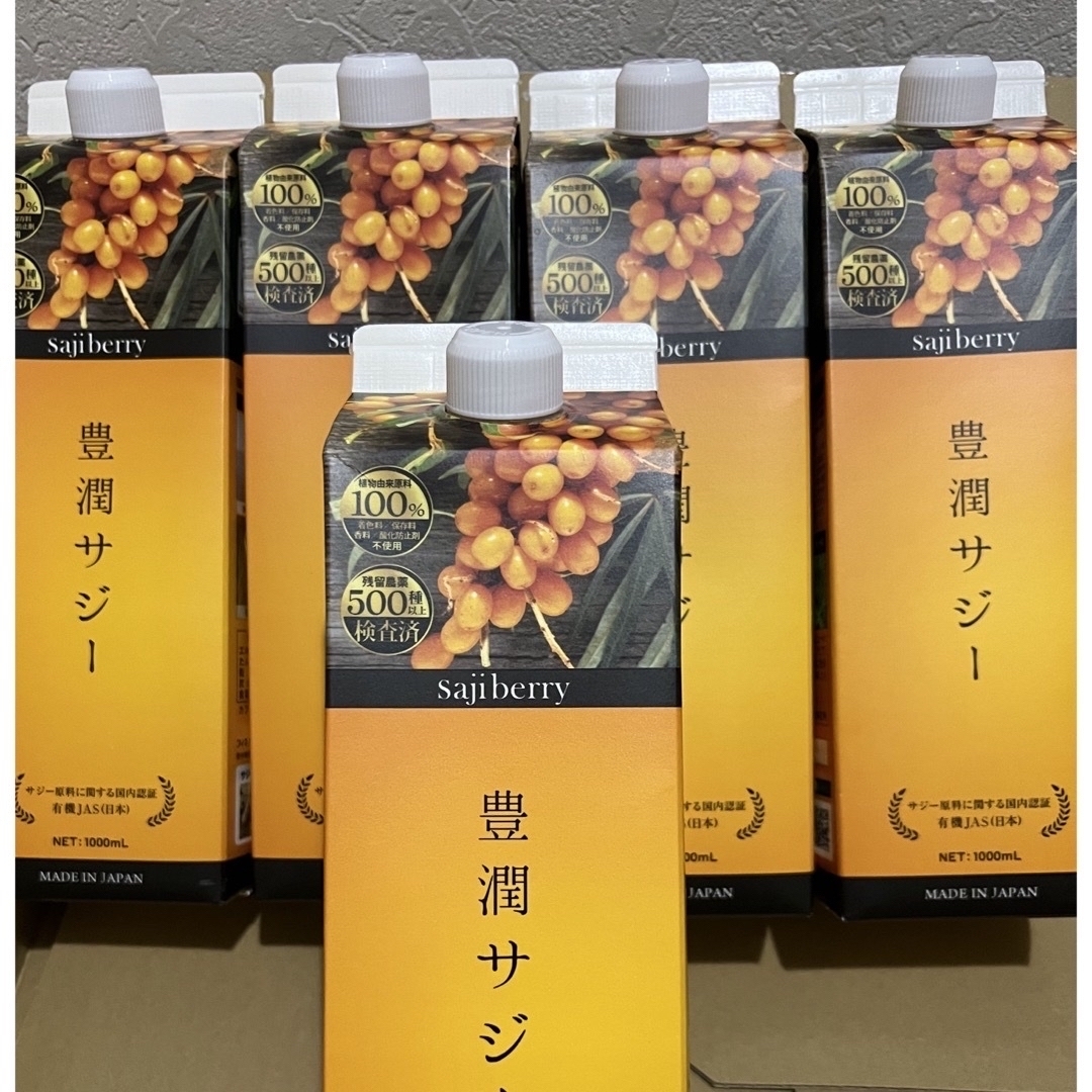 保証1年 フィネス 豊潤サジー 1，000ml×５本 | www.skinartistry.co.nz